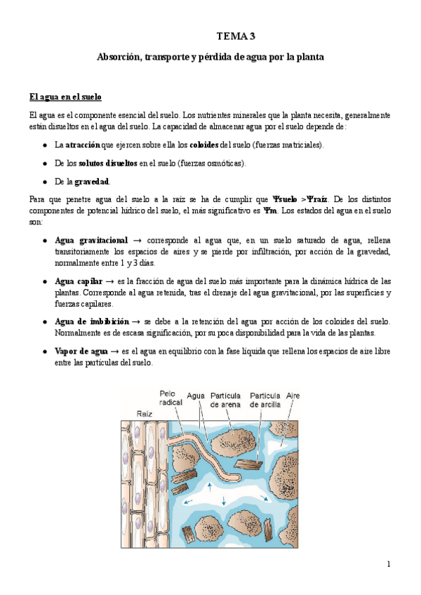 Miniatura del documento TEMA-3-BFP.pdf