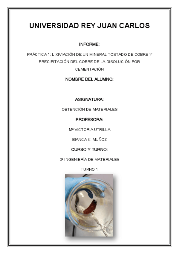 Miniatura del documento Informe-Practica-1.pdf