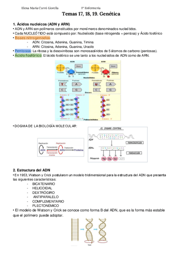 Miniatura del documento Tema-17-18-19.-Genetica-Apuntes-Elena-Curro.pdf