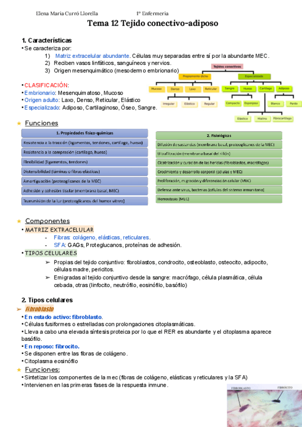 Miniatura del documento Tema-12-Tejido-Conectivo-Adiposo-APUNTES-ELENA-CURRO.pdf