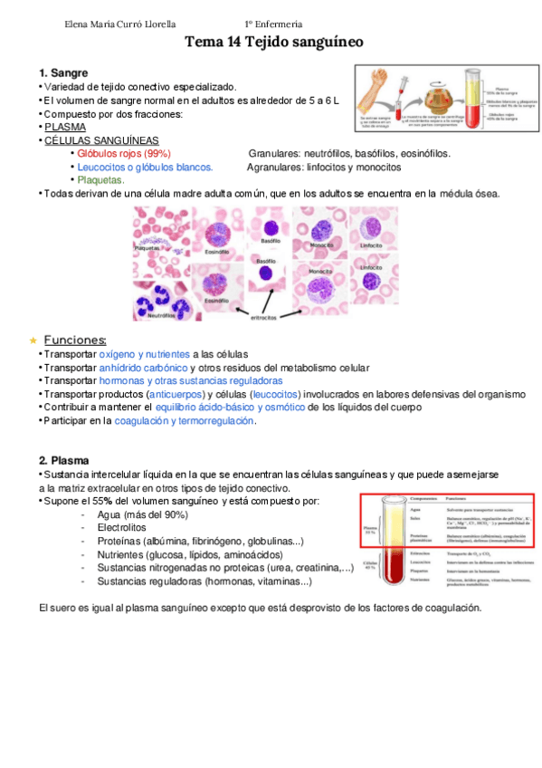 Miniatura del documento Tema-14-Tejido-Sanguineo-APUNTES-ELENA-CURRO.pdf