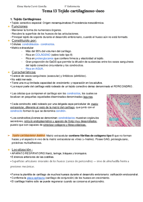 Miniatura del documento Tema-13-Tejido-cartilaginoso-oseo-APUNTES-ELENA-CURRO.pdf