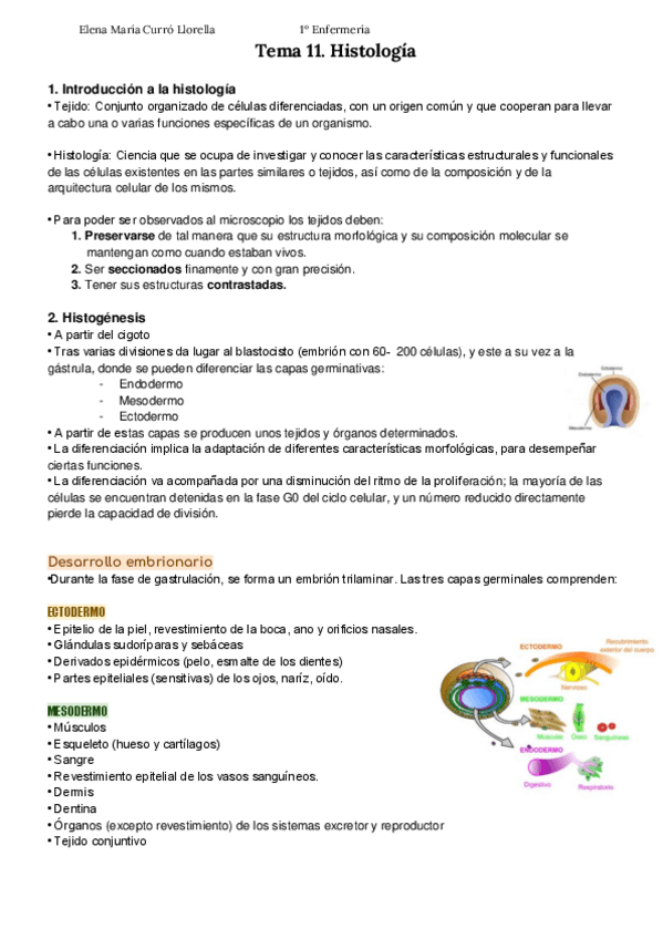 Miniatura del documento Tema-11-Histologia-Apuntes-Elena-Curro.pdf