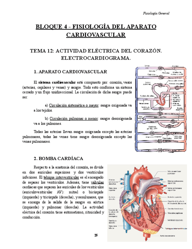 Miniatura del documento BLOQUE-4-FISIOLOGIA.pdf