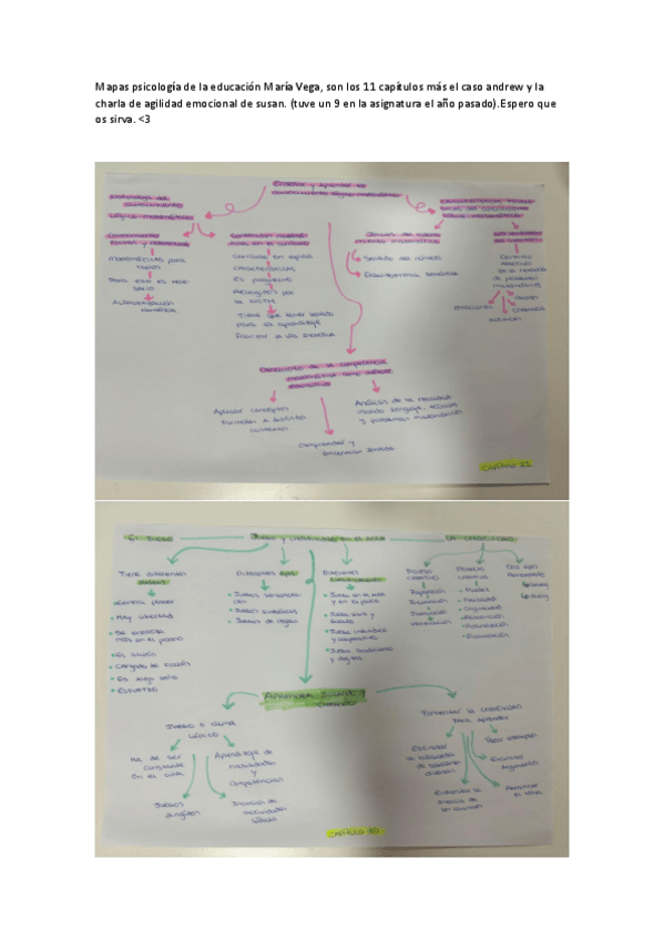 Miniatura del documento Mapas-Psicologia-de-la-Educacion-Maria-Vega-Primero-de-Educacion-Infantil.pdf