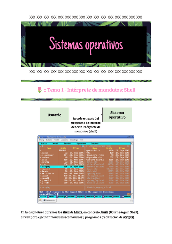Miniatura del documento SSOO-T1.pdf