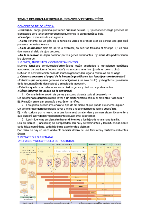 Miniatura del documento RESUMENES-TEMA-2-PSICO-DESARROLLO.pdf