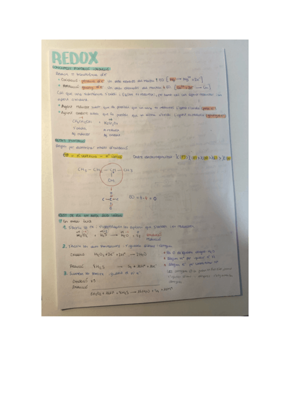 Miniatura del documento Apunts-redox.pdf