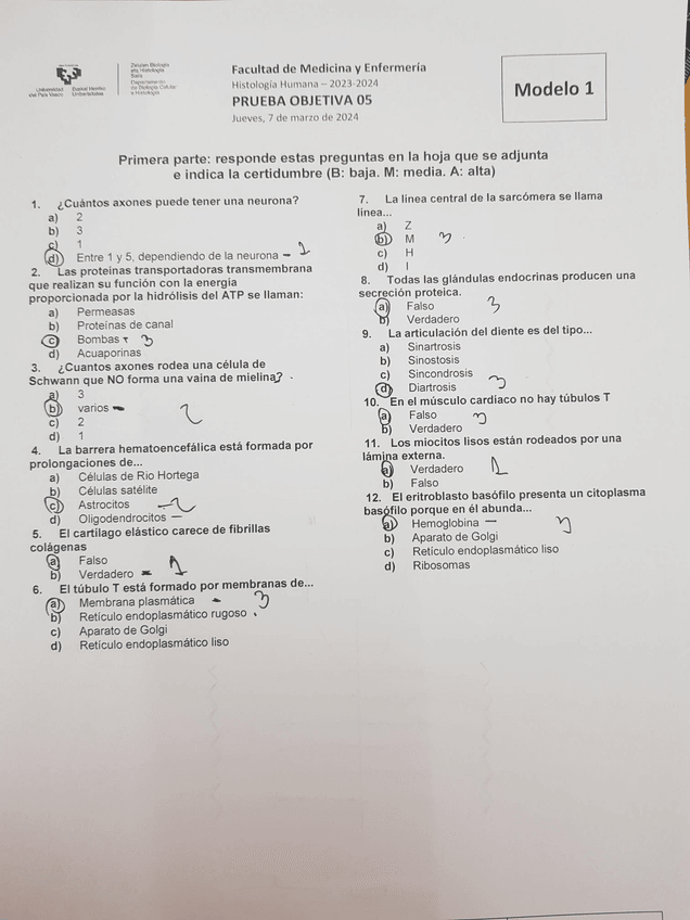 Miniatura del documento Test-5.jpeg