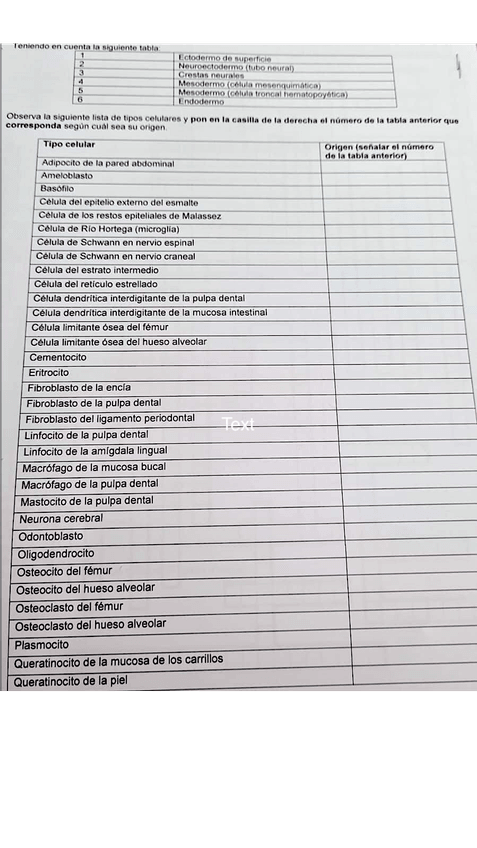 Miniatura del documento Ultma-PA.png