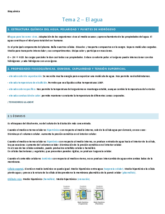 Miniatura del documento TEMA-2.-BIOQUIMICA.pdf