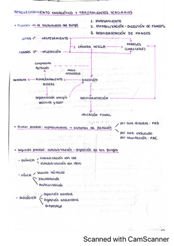 Miniatura del documento TEMA-6-AMBIENTALES.pdf