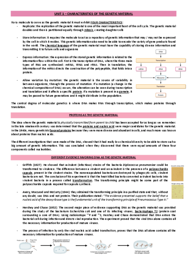 Miniatura del documento molecular-genetics-apuntes-completos.pdf