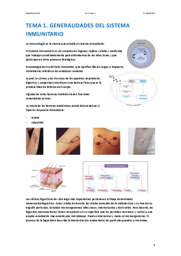 Miniatura del documento APUNTES-INMUNO-T1..pdf