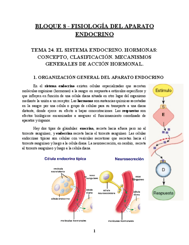 Miniatura del documento BLOQUE-8-FISIOLOGIA.pdf