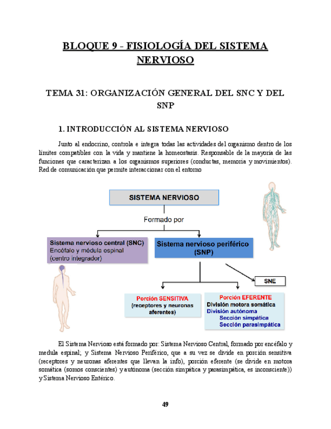 Miniatura del documento BLOQUE-9-FISIOLOGIA.pdf