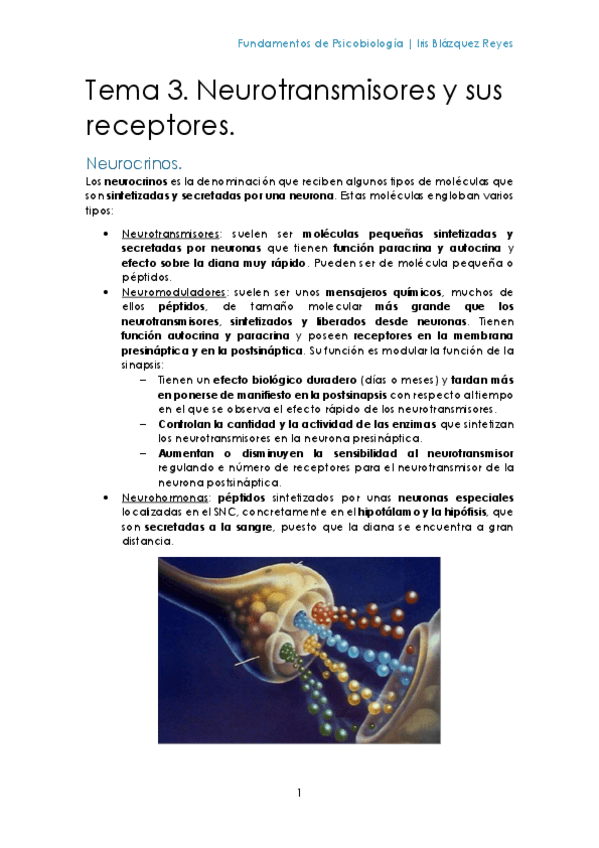 Miniatura del documento TEMA 3. NEUROTRANSMISORES Y SUS RECEPTORES.pdf