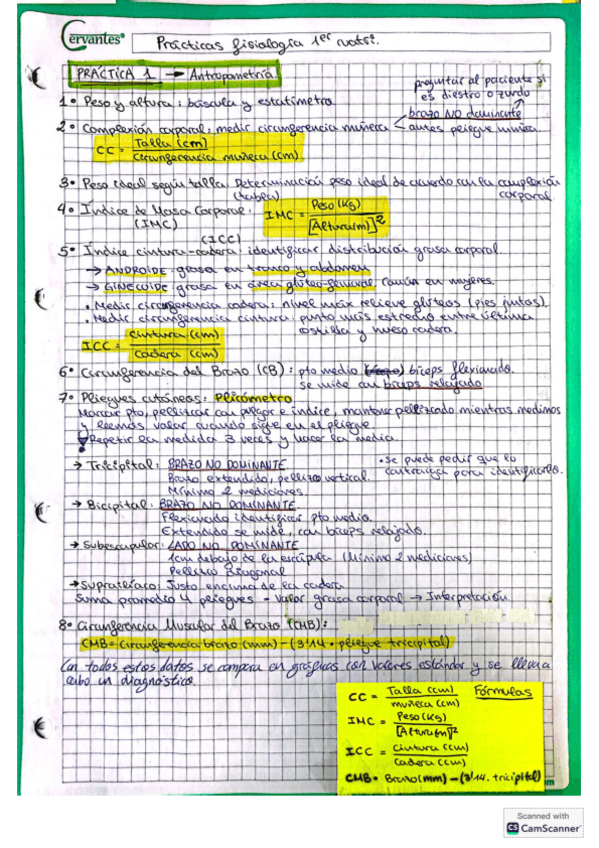 Miniatura del documento Practicas-primer-cuatri.pdf