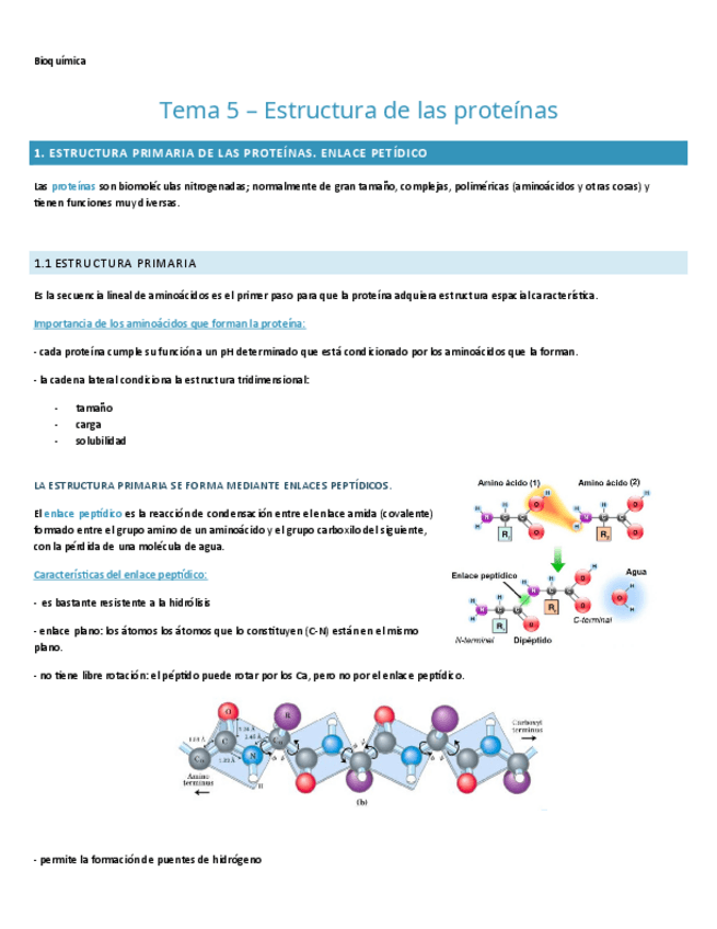 Miniatura del documento TEMA-5.-BIOQUIMICA.pdf