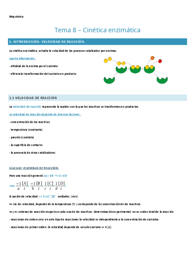 Miniatura del documento TEMA-8.-BIOQUIMICA.pdf