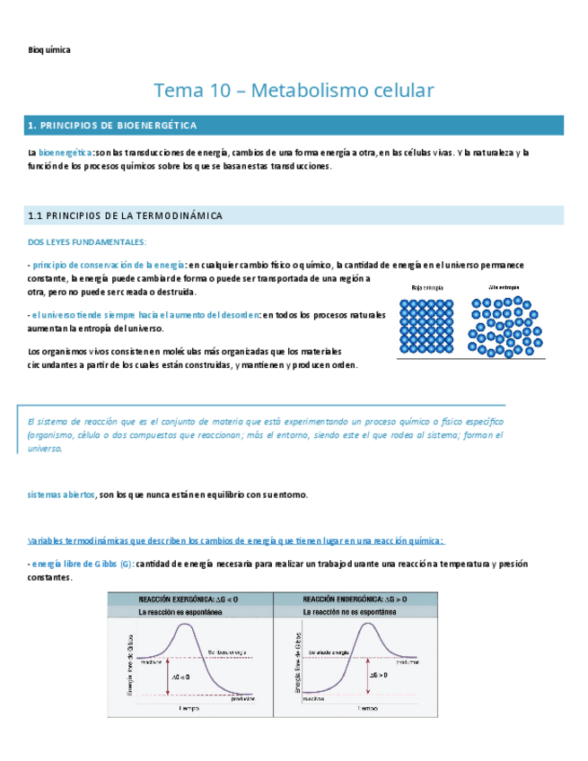 Miniatura del documento TEMA-10.-BIOQUIMICA.pdf
