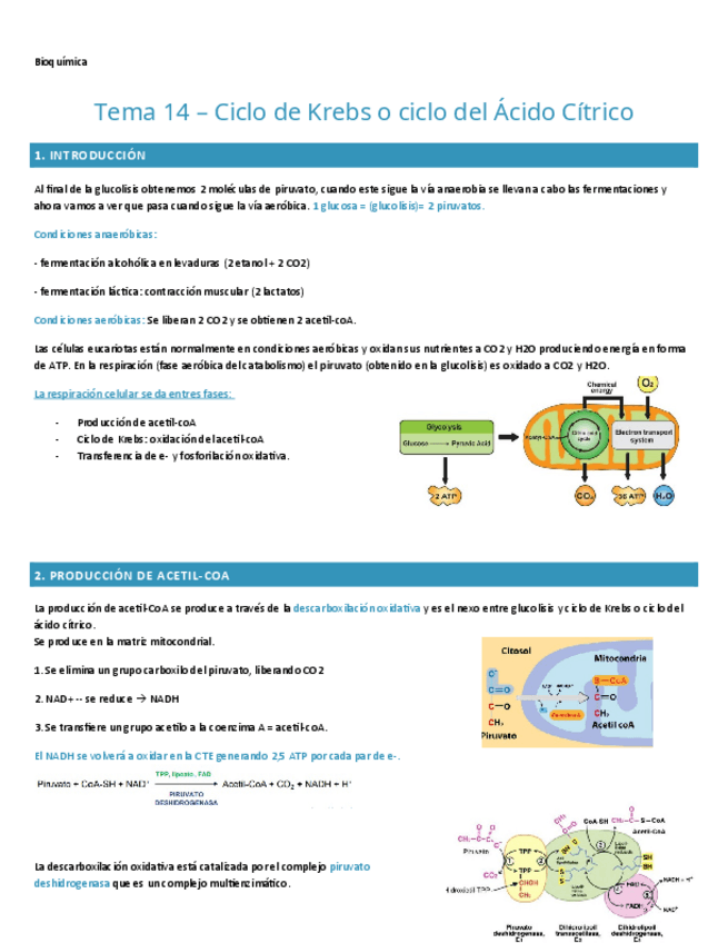 Miniatura del documento TEMA-14.-BIOQUIMICA.pdf