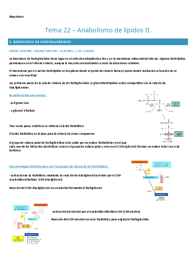 Miniatura del documento TEMA-22.-BIOQUIMICA.pdf