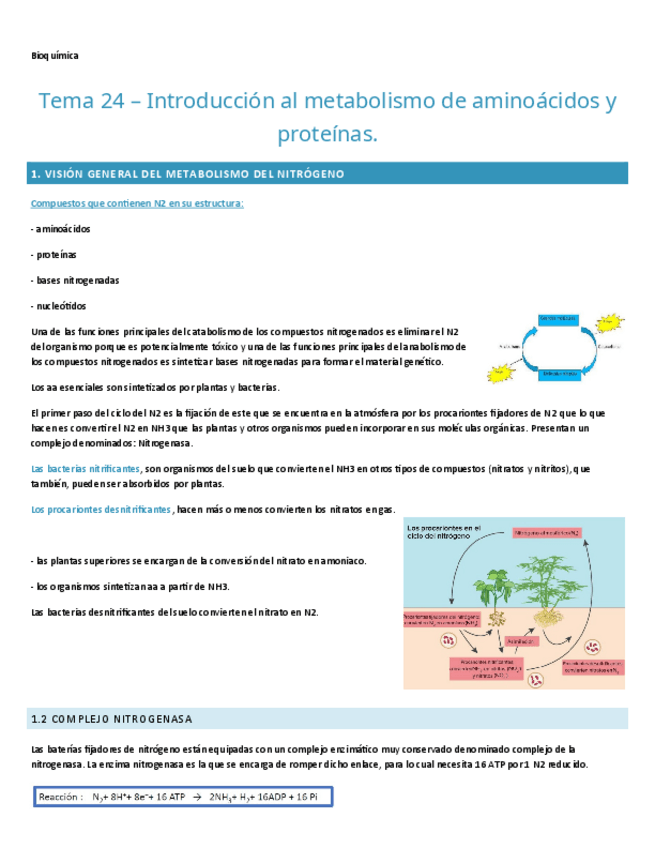 Miniatura del documento TEMA-24.-BIOQUIMICA.pdf