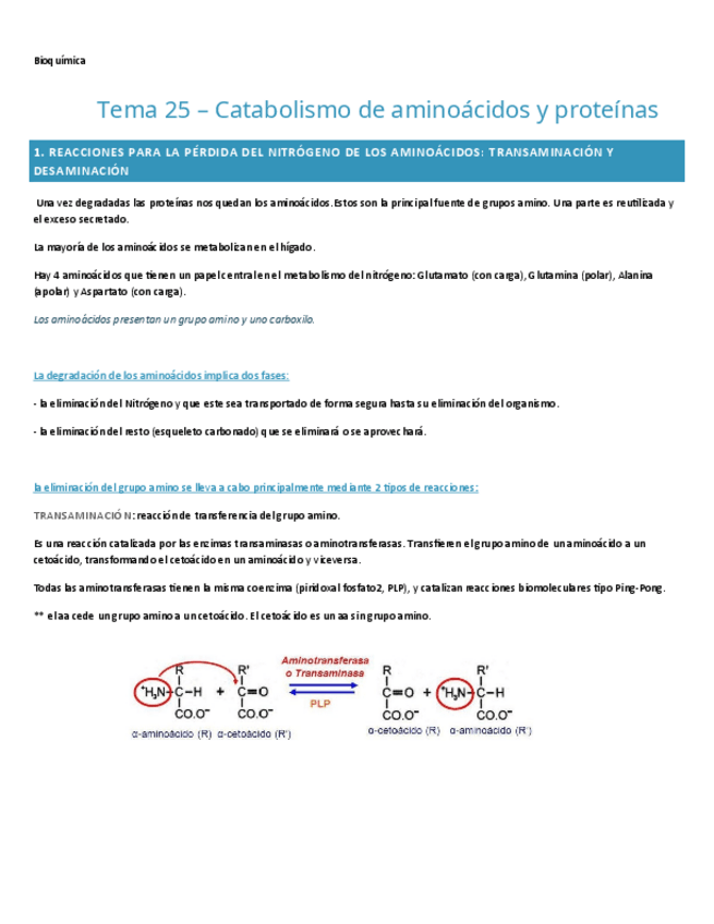 Miniatura del documento TEMA-25.-BIOQUIMICA.pdf