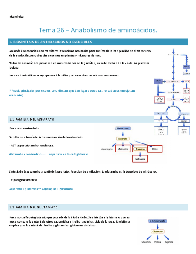 Miniatura del documento TEMA-26.-BIOQUIMICA.pdf