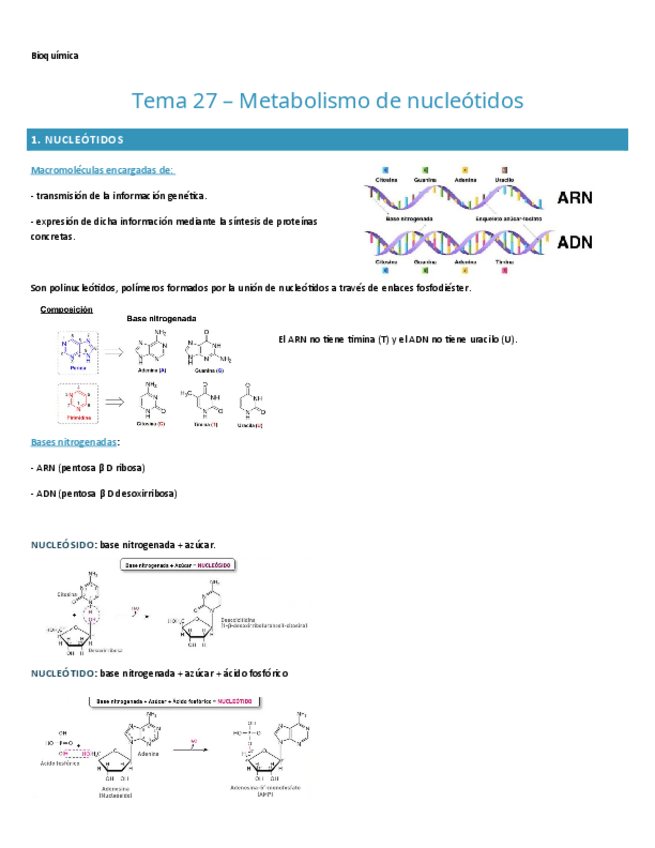 Miniatura del documento TEMA-27.-BIOQUIMICA.pdf