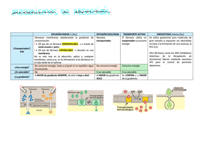 Miniatura del documento Mecanismos-de-absorcion.pdf