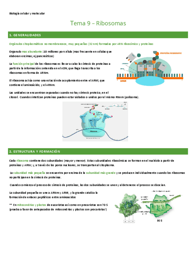 Miniatura del documento TEMA-9.-BIO-CEL-Y-MOL.pdf
