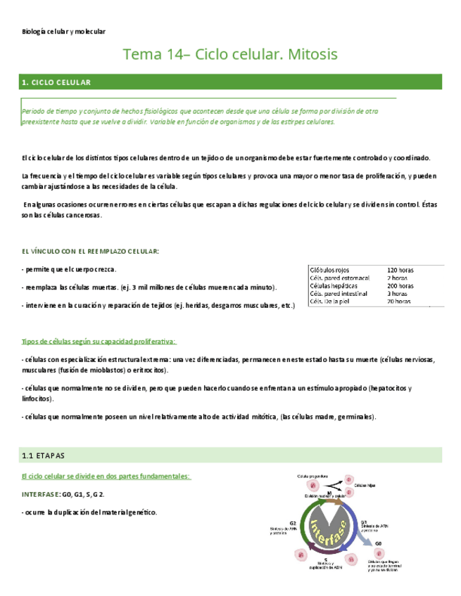 Miniatura del documento TEMA-14.-BIO-CEL-Y-MOL.pdf