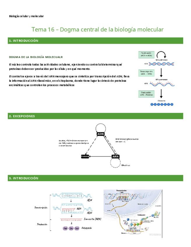 Miniatura del documento TEMA-16.-BIO-CEL-Y-MOL.pdf