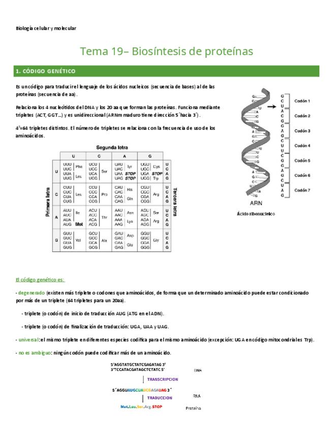 Miniatura del documento TEMA-19.-BIO-CEL-Y-MOL.pdf