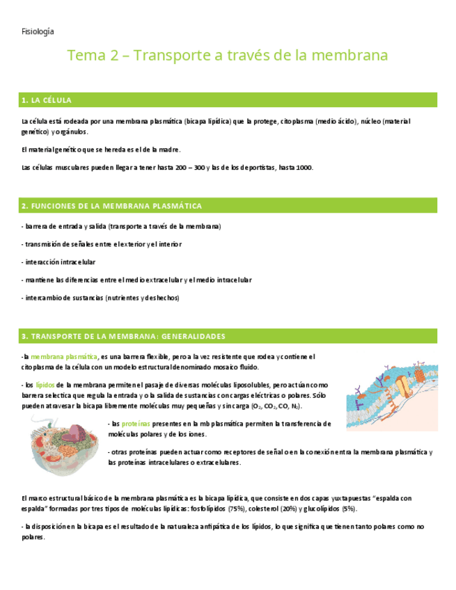 Miniatura del documento TEMA-2.-FISIOLOGIA.pdf