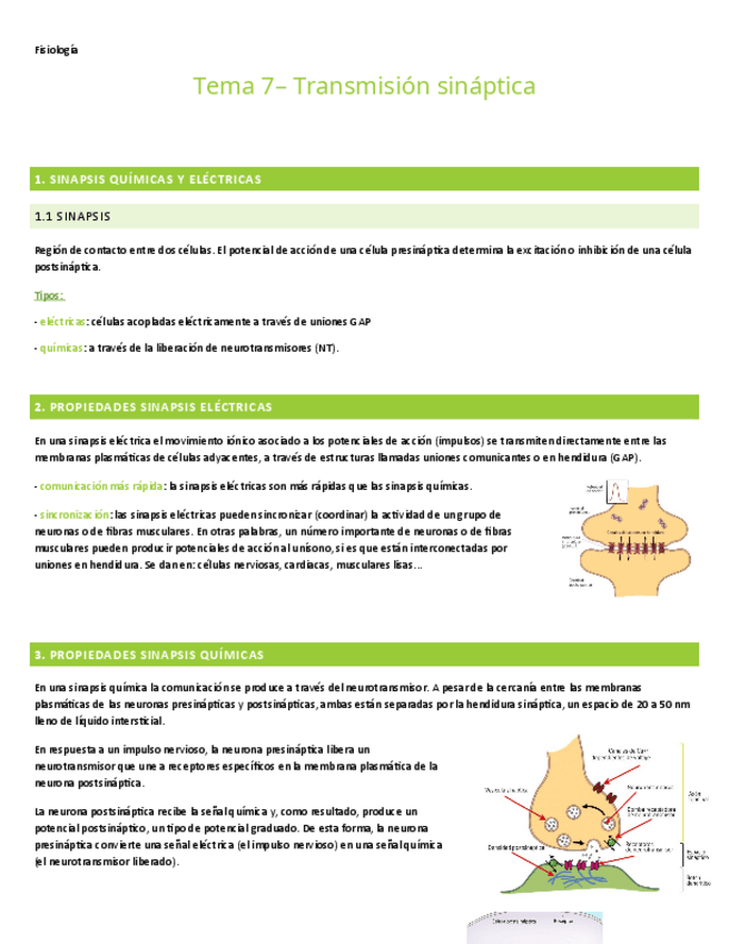 Miniatura del documento TEMA-7.-FISIOLOGIA.pdf