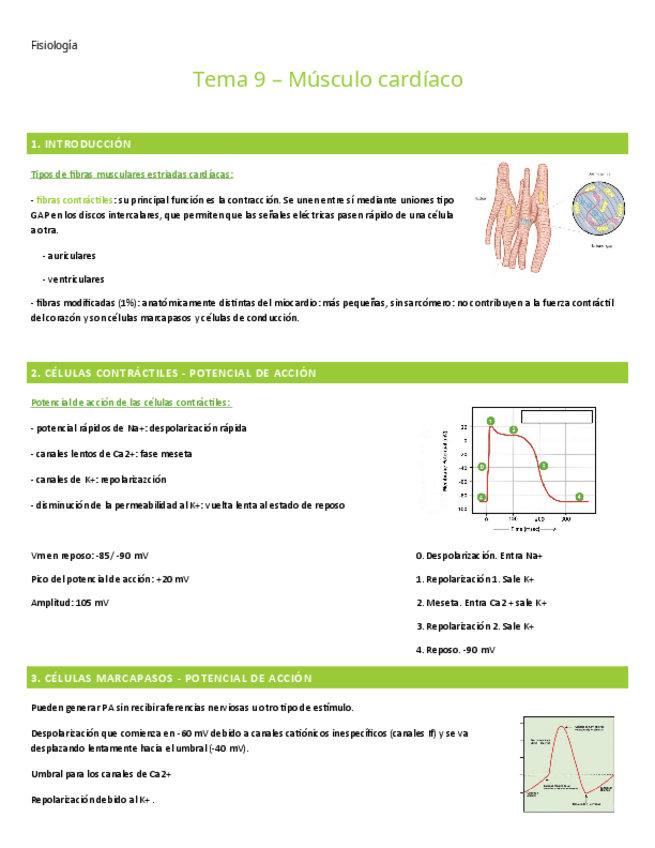 Miniatura del documento TEMA-9.-FISIOLOGIA.pdf