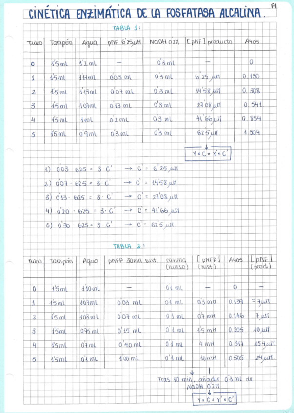 Miniatura del documento Práctica Cinética Enzimática de la Fosfatasa Alcalina.pdf