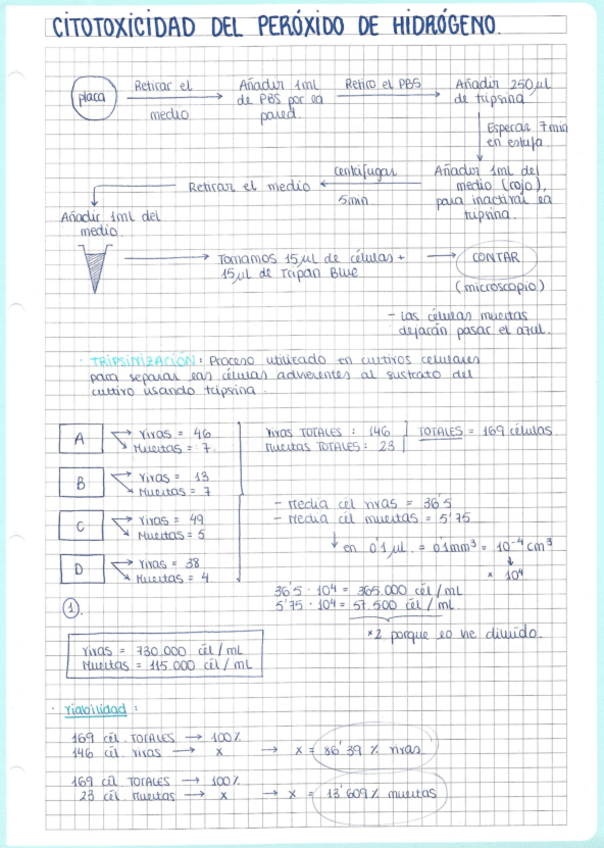 Miniatura del documento Práctica Citotoxicidad del Peróxido de Hidrógeno.pdf