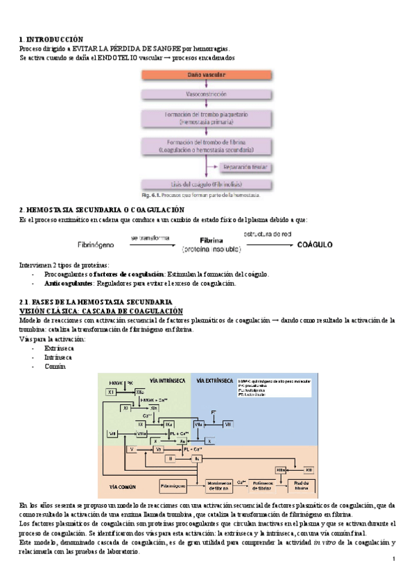 Miniatura del documento UNIDAD-7.pdf