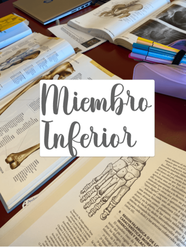 Miniatura del documento Laminas-osteologia-miembro-inferior.pdf
