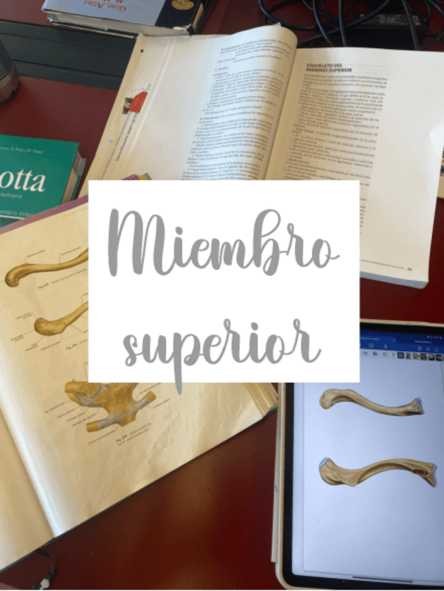 Miniatura del documento Laminas-osteologia-y-articulaciones-miembro-superior.pdf