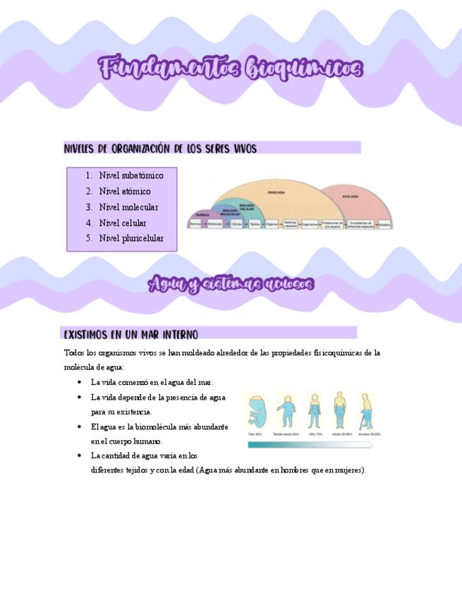 Miniatura del documento Bioquimica-1-3.pdf