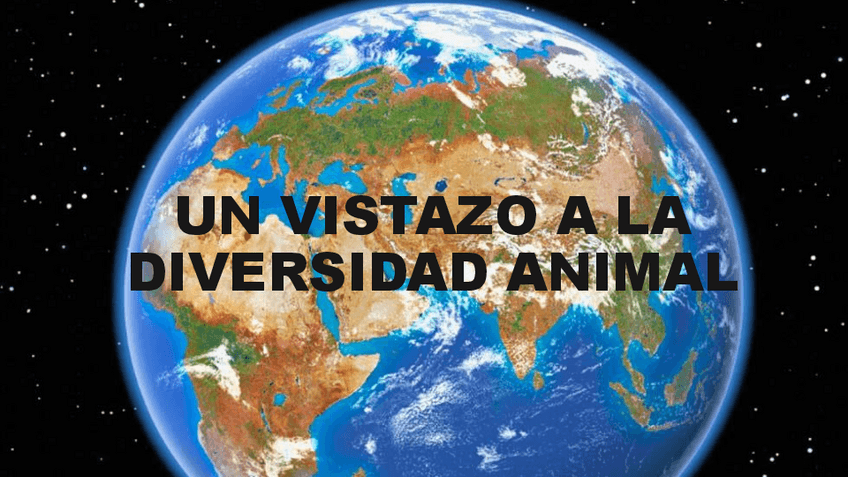 Miniatura del documento Diversidad Animal (Filos).pdf