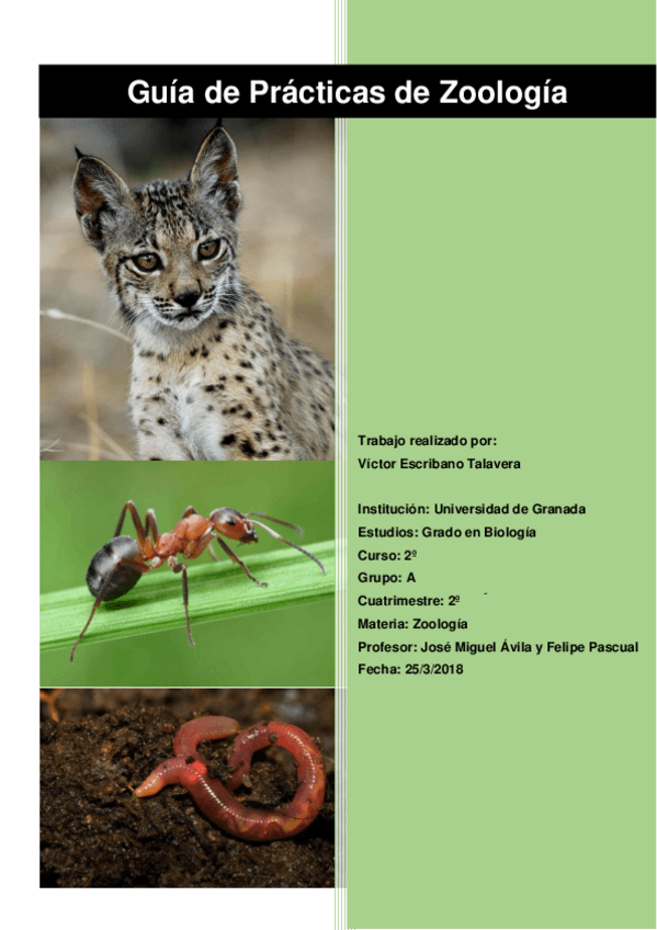 Miniatura del documento Guía de Prácticas de Zoología.pdf
