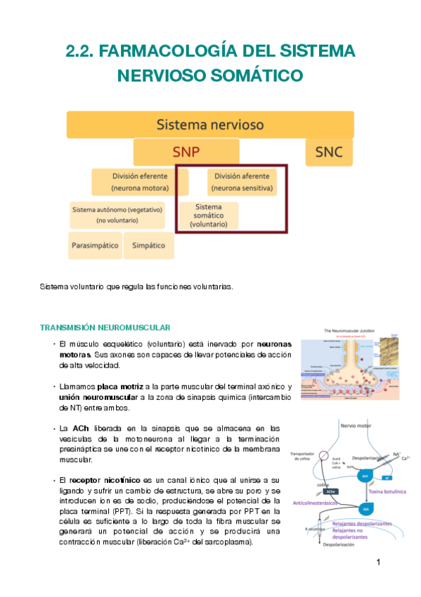 Miniatura del documento FARMA-2.2.pdf