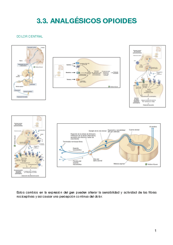 Miniatura del documento FARMA-3.3.pdf