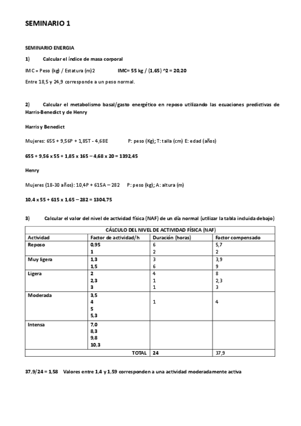 Miniatura del documento Seminario-1-Energia.pdf